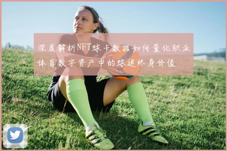 深度解析NFT球卡数据如何量化职业体育数字资产中的球迷终身价值